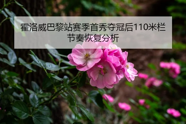 霍洛威巴黎站赛季首秀夺冠后110米栏节奏恢复分析