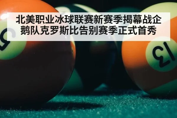 北美职业冰球联赛新赛季揭幕战企鹅队克罗斯比告别赛季正式首秀